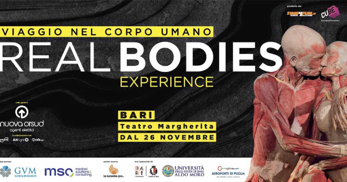 Bari, ''Real Bodies Experience'': al Margherita una mostra sull'anatomia umana